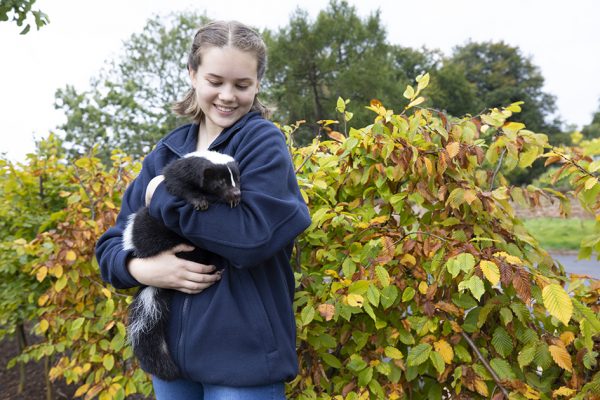 Girl holding skunk