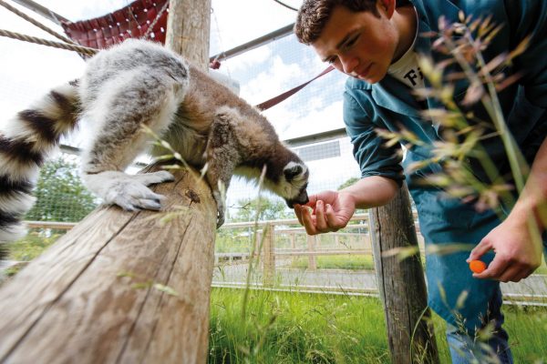 Animal Management Diploma