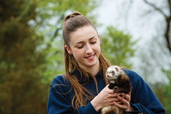 Animal Care and Welfare Assistant Apprenticeship