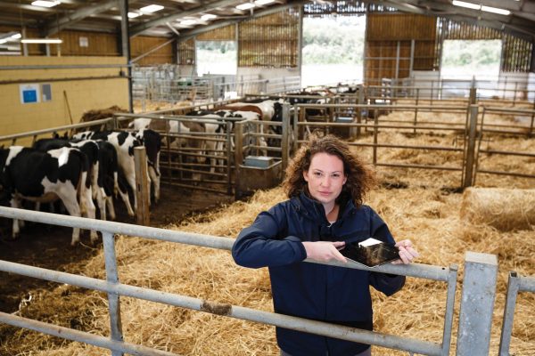 Agriculture degree student holding an iPad in a barn monitoring cow feed