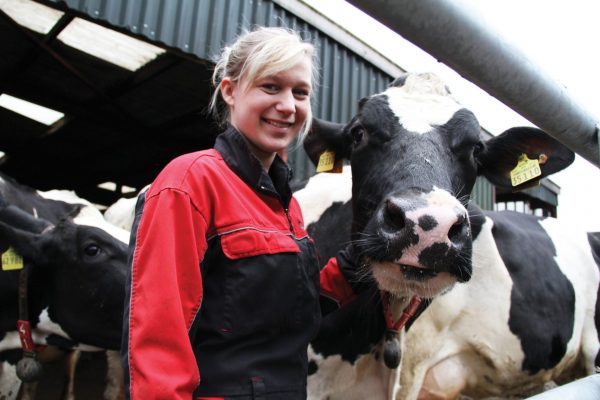 Ruminant Nutrition