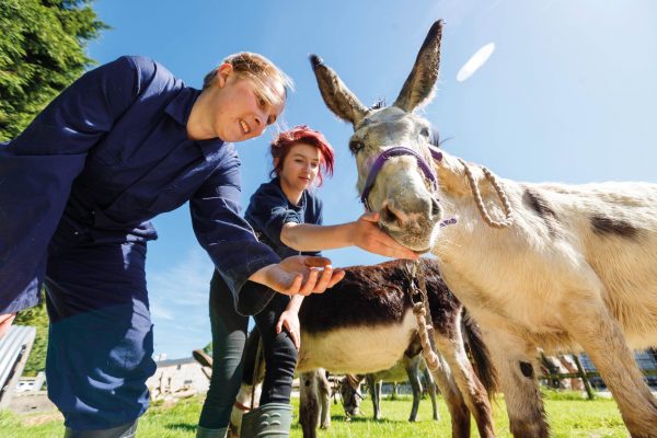 Animal Care Technical Certificate Level 2