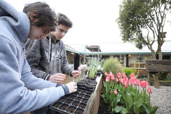 Foundation learning students gaining practical skills and experience