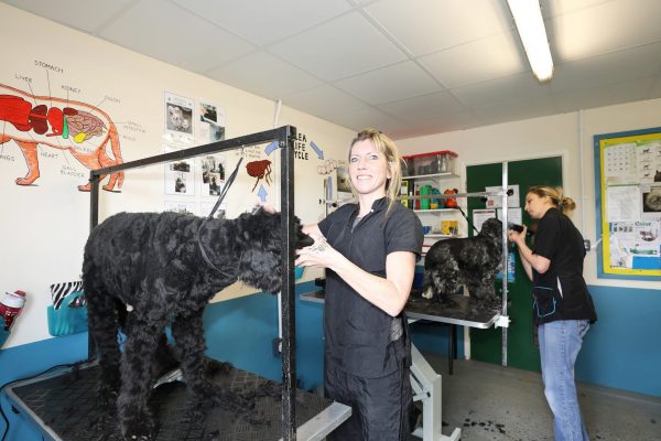 City & Guilds Dog Grooming Diploma Level 3