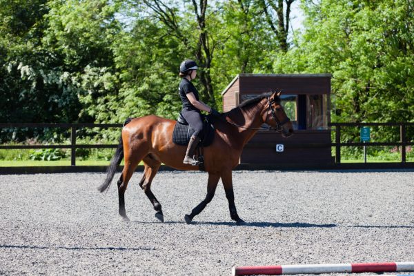 Equine student rides a horse across school yard