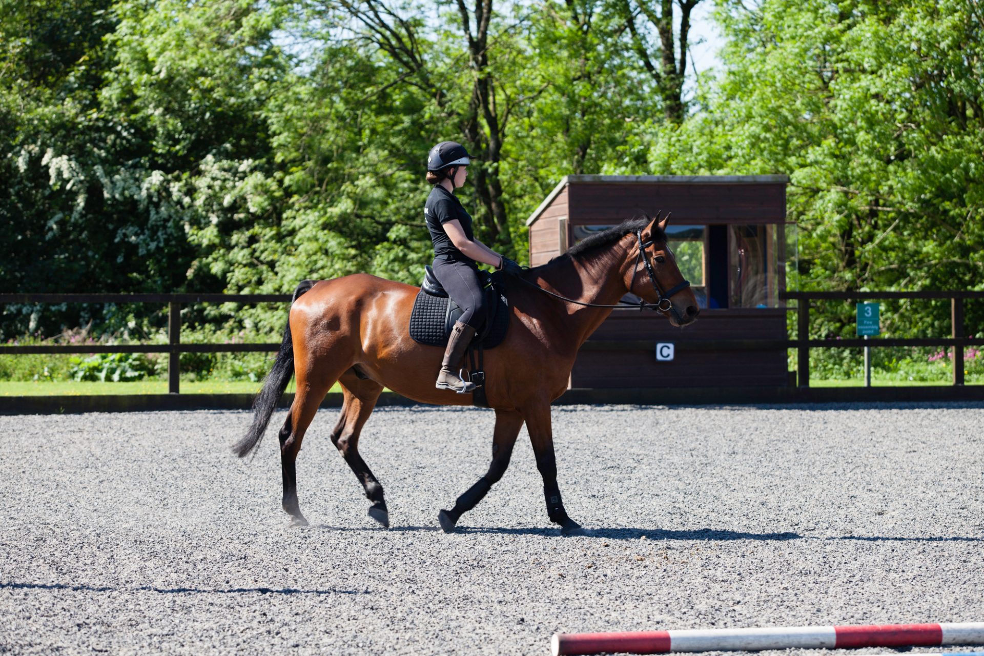 Equine Assistant, St Leonards Equestrian Centre Cornwall College