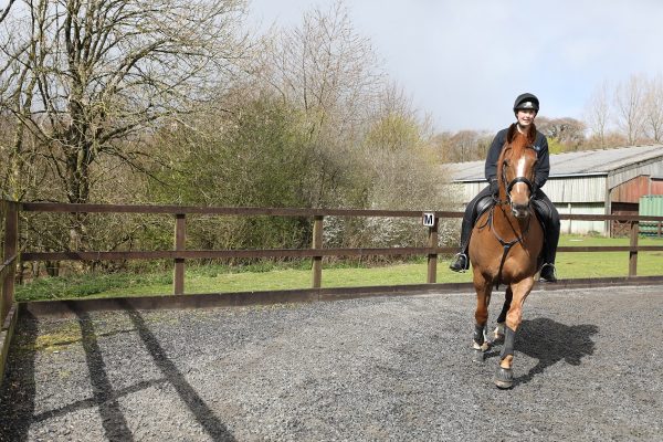 Equine student riding a horse in outdoor arena