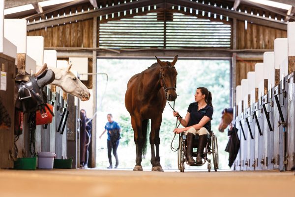 Stable Management & Lungeing Training Day