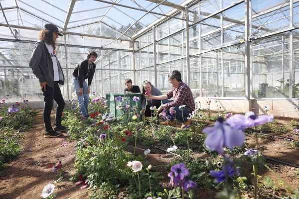 RHS Level 2 certificate in the principles of horticulture