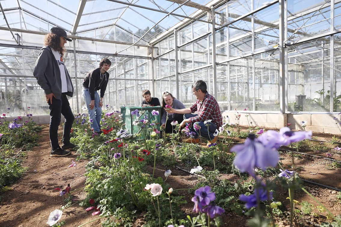 Horticulture
