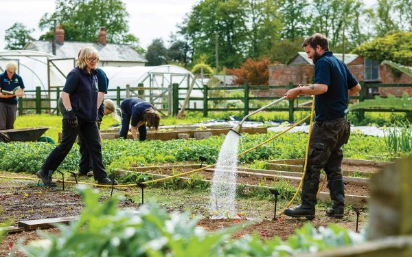 Planning And Planting A Herb Garden ( Occupational Studies) – Dartington