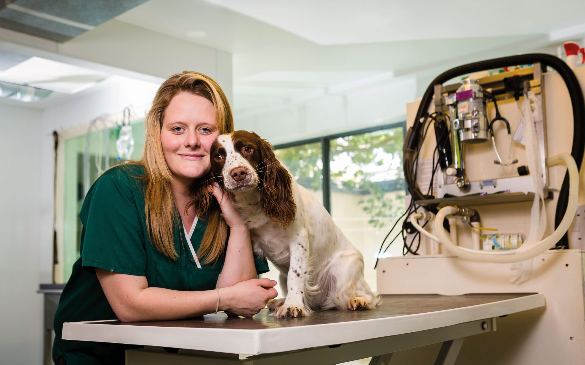 Animal Management