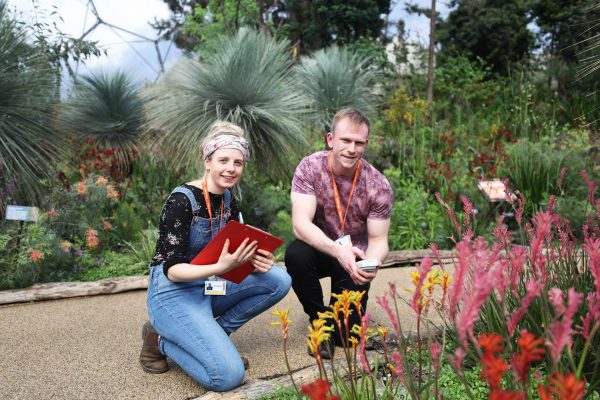 Two horticulture students looking at plants in the biome at Eden Project Cornwall