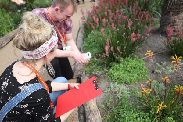 Two horticulture students studying the plants in the Eden Project biome