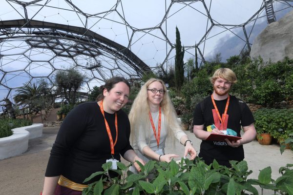Group of students inside the biome at The Eden Project