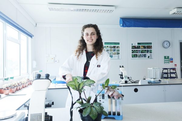 Plant science horticulture students in the lab at The Eden Project