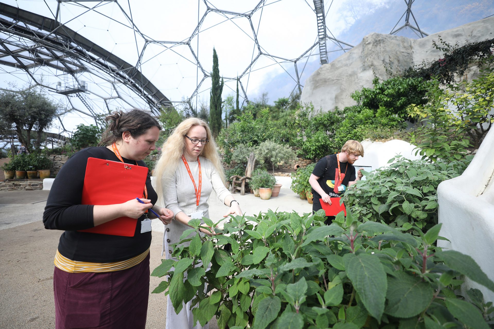 Students looking closely at plants in the biome at The Eden Project