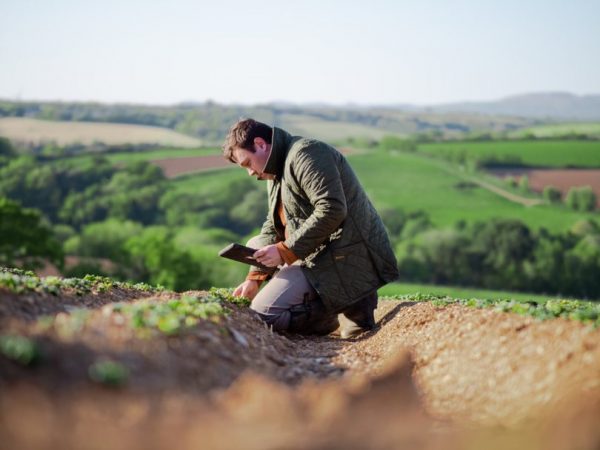 Crop Technician Apprenticeship Standard