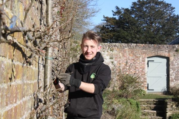 RHS Advanced Certificate In Practical Horticulture