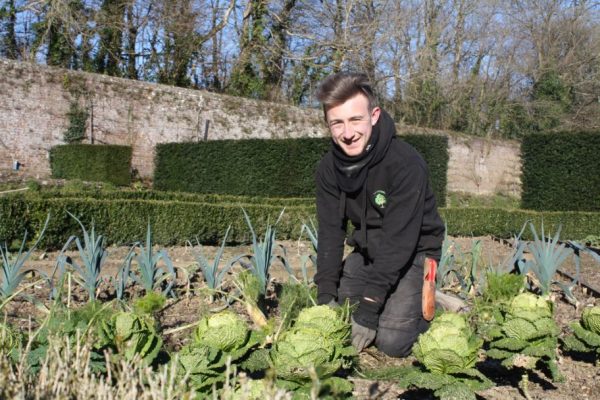 RHS Certificate In Practical Horticulture