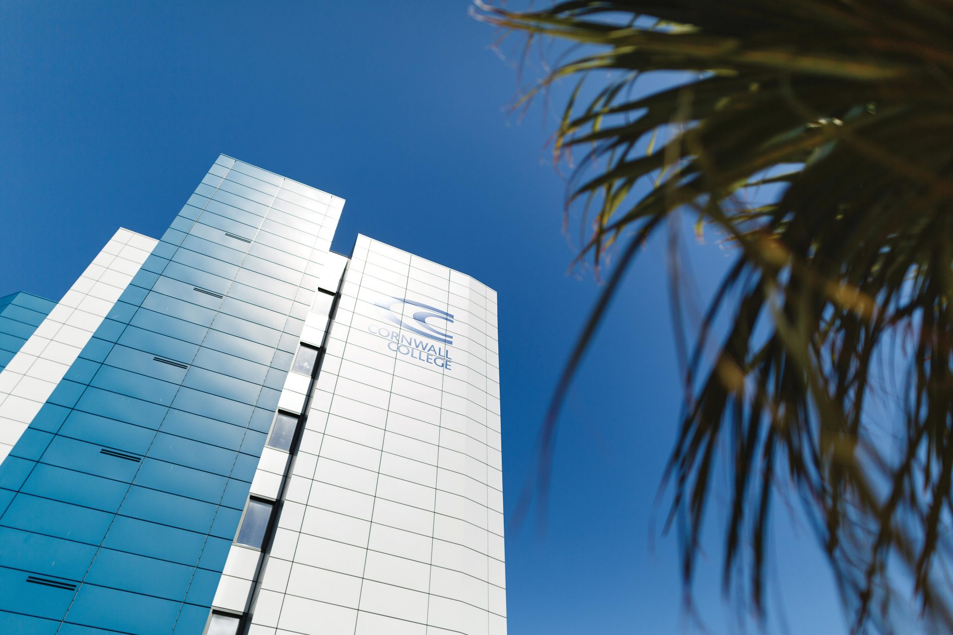 Tamar building and palm tree at Camborne College