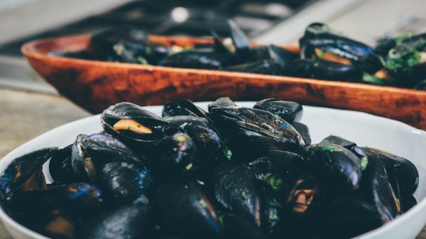 Mussels cooked with herbs and served in a wooden bowl