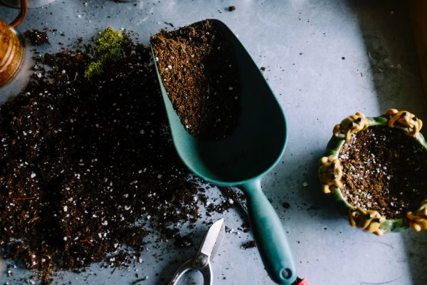 Know your soil and composting