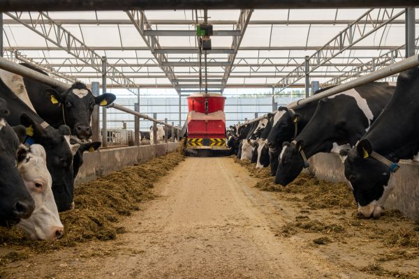 BSc (Hons) Agriculture
