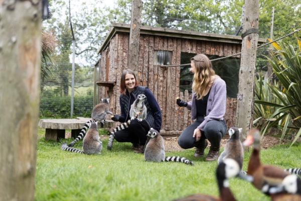 Cert HE Zoology with Ecology and Conservation