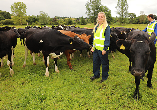 Agriculture Clearing Courses