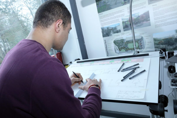 A landscape designer working on a drawing