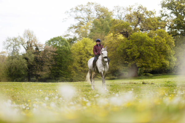 FdA Equine Business and Innovation (Full time)