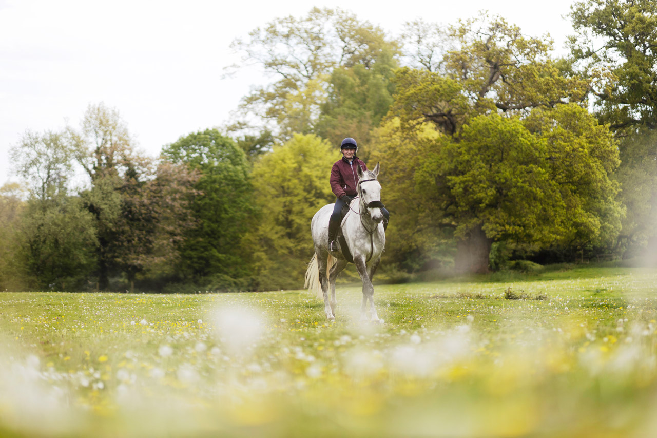 Equine Clearing Courses