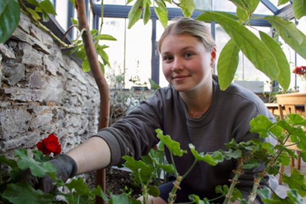 Professional Landscape and Sustainability Operative (Horticulture) Level 2