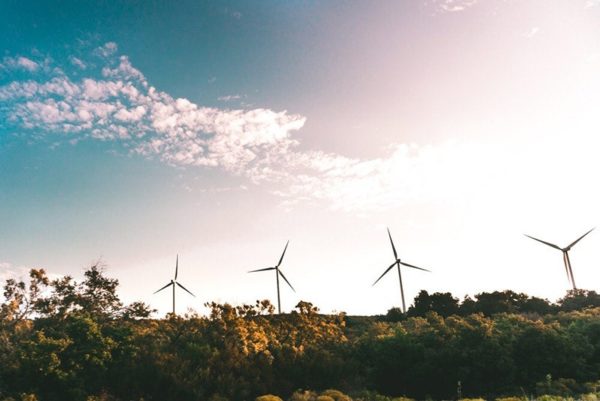 Region’s sole Environmental Practitioner Degree Apprenticeship
