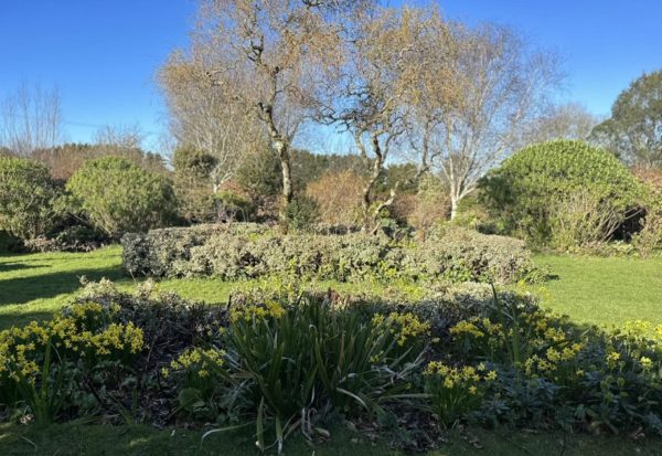 30 years in bloom for Duchy College Rosewarne