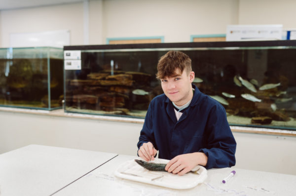 Marine Science Courses