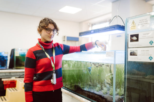 Marine Science Courses