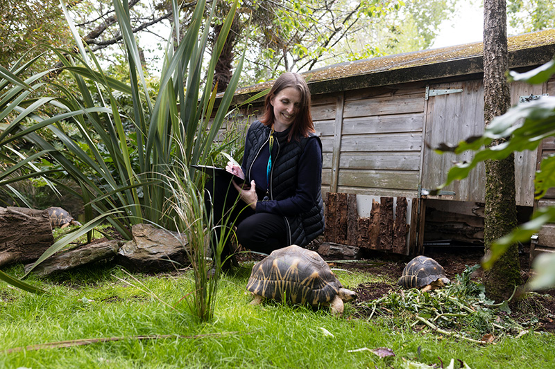 Animal Management and Veterinary Nursing Clearing Courses