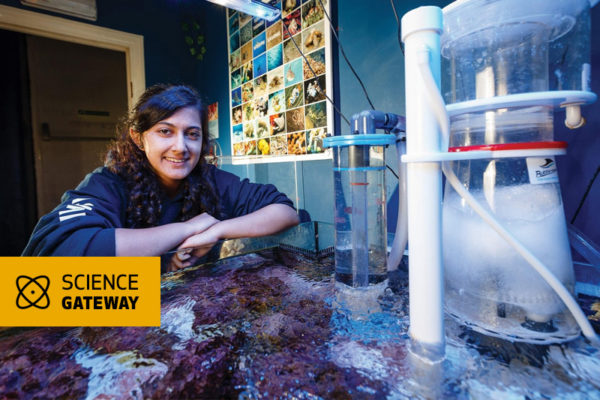 Marine Biology with Conservation, with Science Gateway