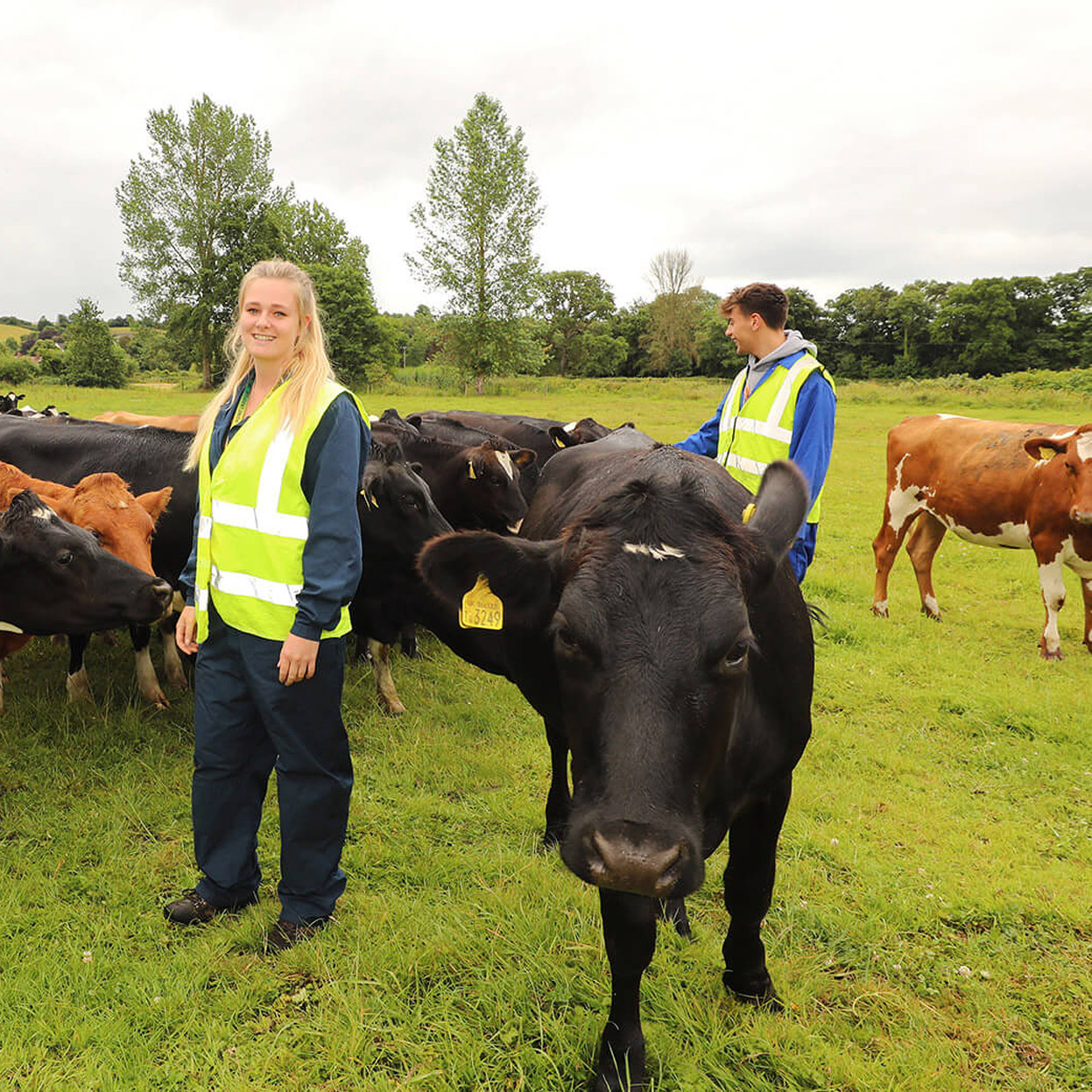 We offer the widest range of specialist vocational training for everyone in Cornwall and beyond.