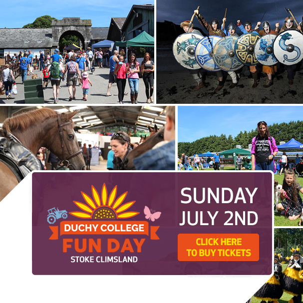 Stoke Climsland Fun Day - Sunday 2nd July 10am - 4pm
