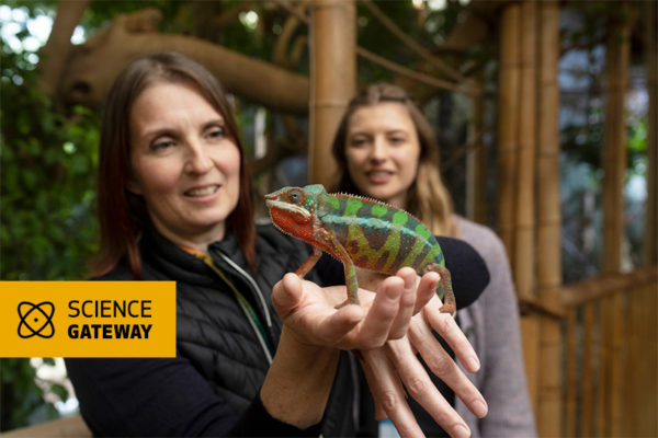 FdSc Zoology with Ecology and Conservation with Science Gateway