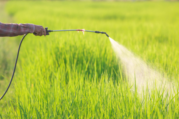 Pesticide Courses
