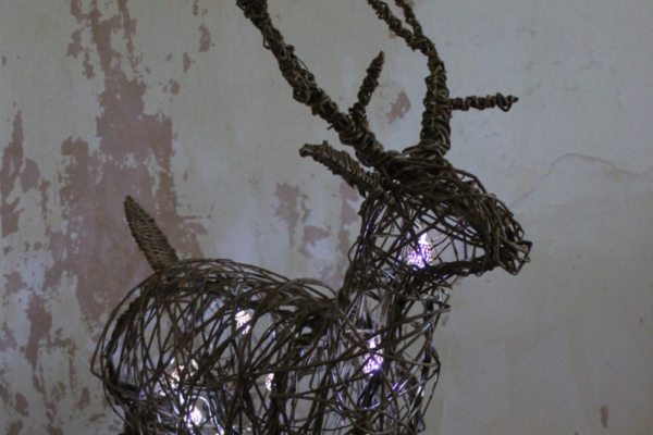 Create a Willow Reindeer/Stag Workshop