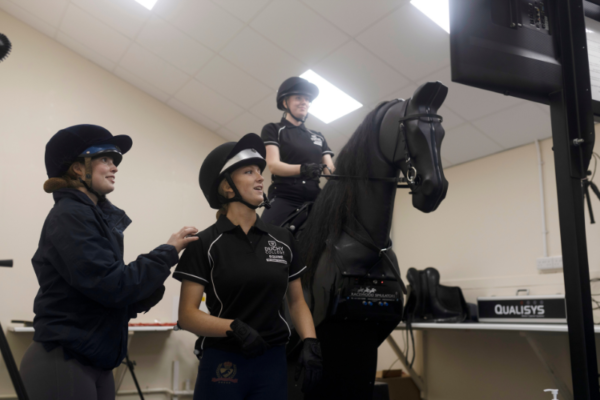 equine taster course image