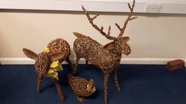NCFE Creative Craft Willow Designs